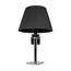 LOFT IT 10210T Black Настольная лампа Zenith, изображение 3
