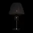 LOFT IT 10210T Black Настольная лампа Zenith, изображение 4