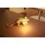 Seletti 00133966; 15232 Настольная лампа Mouse Lamp Lyie Down Gold USB, изображение 6