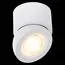 ST LUCE ST654.532.10 Светильник потолочный Белый LED 1*10W 3000K 850Lm Ra>90 38° IP20 D95xH96 180-240V, изображение 6