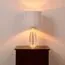 Delight Collection BRTL3205 Настольная лампа, изображение 6