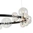 Delight Collection KM1294P-24 black/clear Люстра, изображение 2