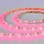 ST LUCE ST019.318.20RGBW Светодиодная лента SMD5050  - -*86W 3000K+RGB 300Lm Ra>90 IP20 L1 000xW10xH- 24V, изображение 2